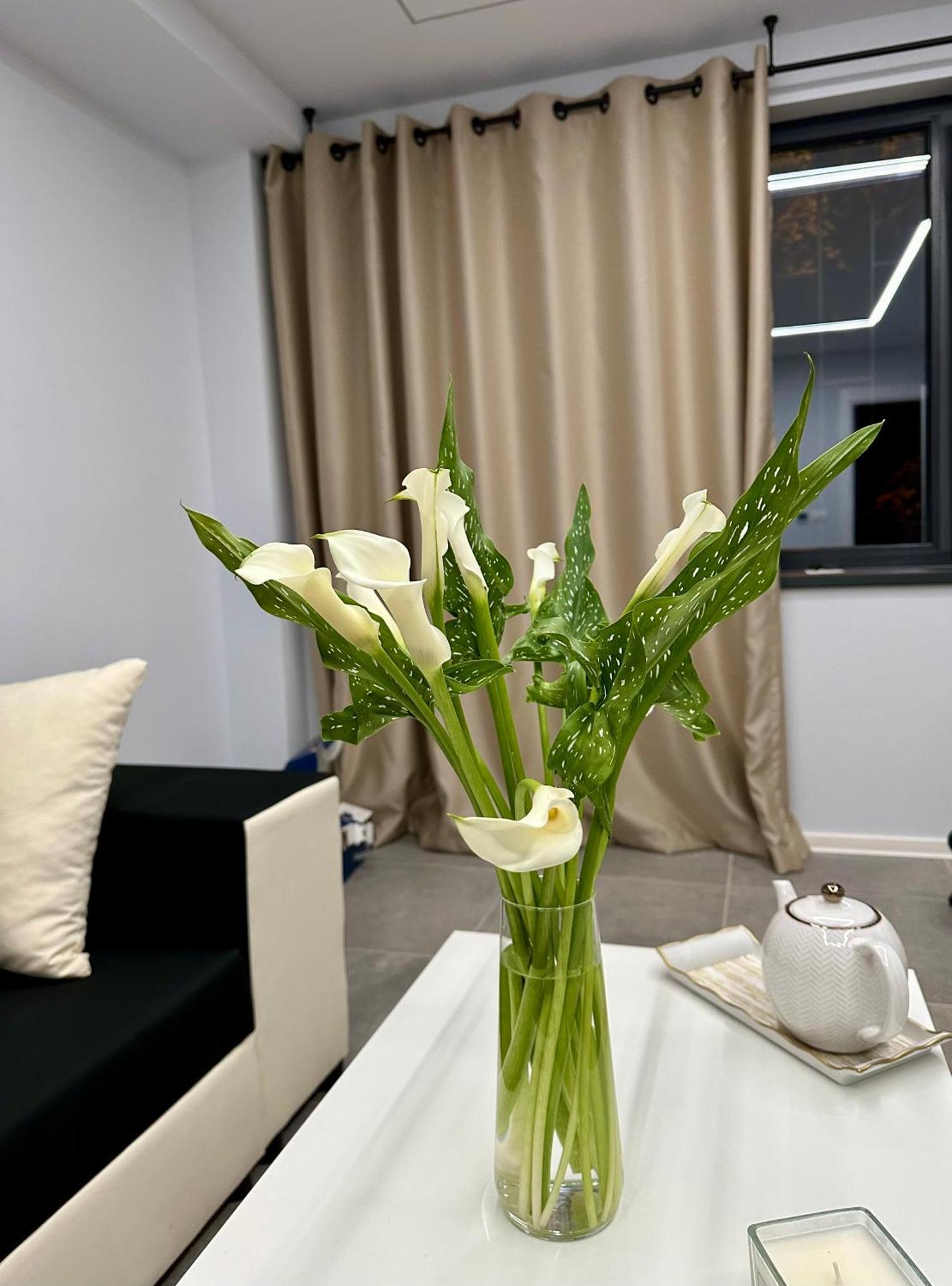 Ppu Home ทิมิชัวรา ภายนอก รูปภาพ