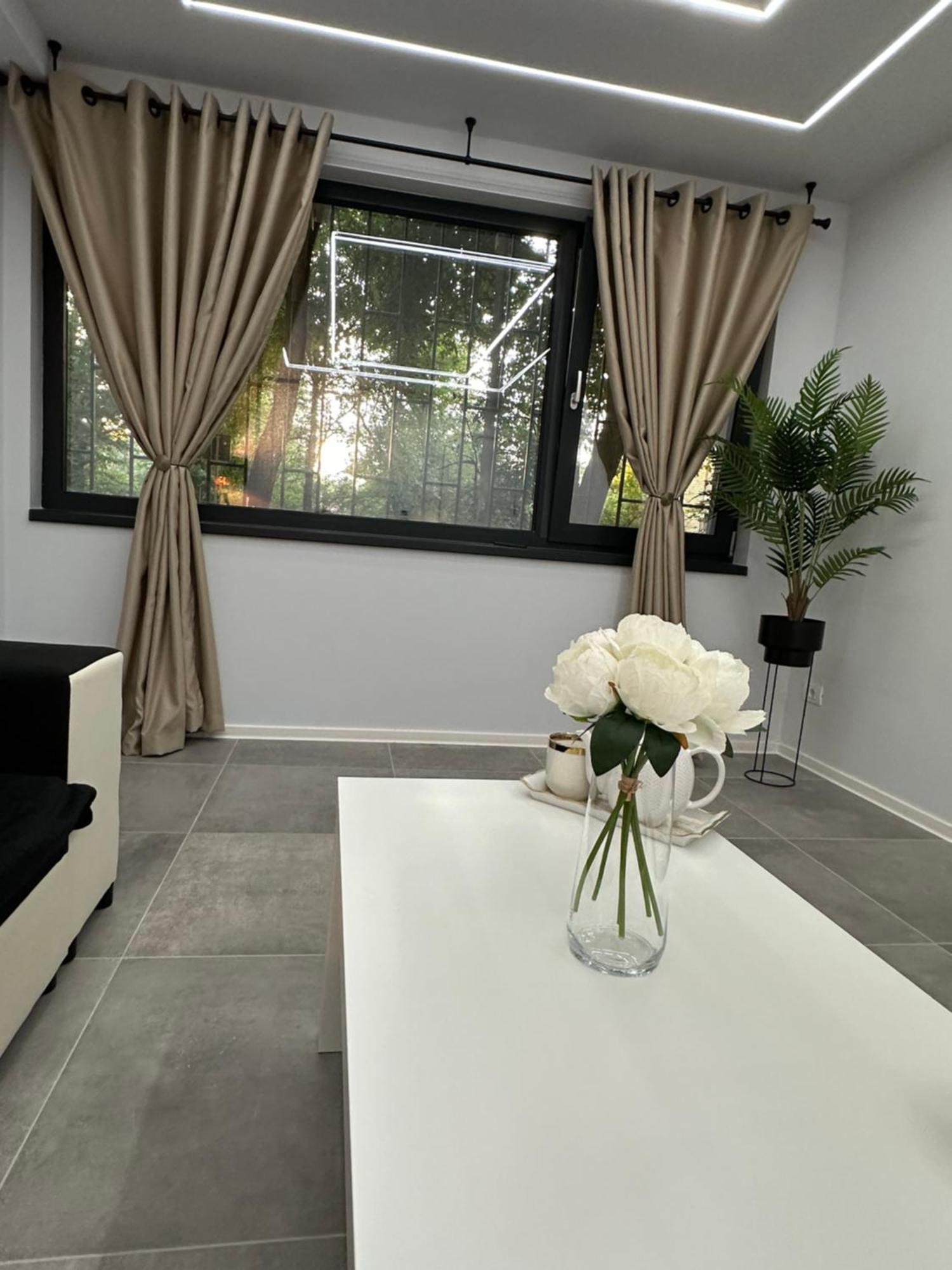 Ppu Home ทิมิชัวรา ภายนอก รูปภาพ